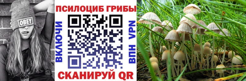 Псилоцибиновые грибы MAGIC MUSHROOMS  где купить   Бахчисарай 