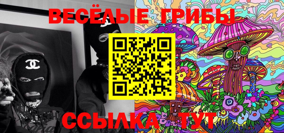 Псилоцибиновые грибы MAGIC MUSHROOMS  Вход с VPN  Бахчисарай 