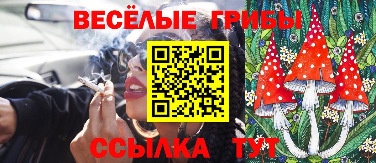 Галлюциногенные грибы мицелий Бахчисарай